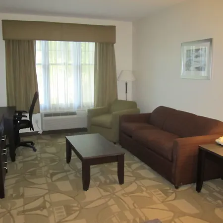 Best Western Plus The Inn & Suites At The Falls-3